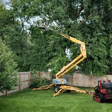 Best Tree Health Inspection  in Mlstadt, IL