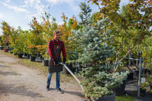 Mulching Services in Millstadt, IL